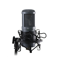 AuraSonics AD22S STEREO стереомикрофон студийный