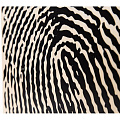 SCHLAGWERK CP107  Кахон серии X-One, принт Fingerprint, цвет натуральный, размер 50 см