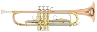 ROY BENSON TR-202G Bb труба (цвет золото)