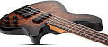 Schecter C-4 STANDARD TB Бас-гитара, 4 струны, цвет TOBACCO BURL