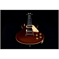 JET JL-500 GD Электрогитара шестиструнная, корпус Les Paul