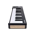Arturia MicroLab mk3 Black MIDI клавиатура
