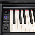 ROCKDALE Etude 128 Graded Black цифровое пианино, 88 клавиш, цвет черный