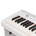 ROCKDALE NOCTURNE S 256 W цифровое пианино 