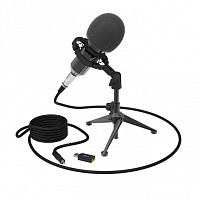 RITMIX RDM-160  студийный конденсаторный микрофон