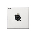 Ecler WPaCNX-CBO Настенная панель с комбинированным разъемом XLR 3-pin + джек 6.3 мм "мама"