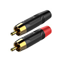 ROXTONE RF2CS-BG (set) Набор из двух разъемов RCA