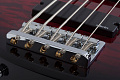 Schecter C-5 Plus STCB Бас-гитара, 5 струн, цвет See Through Cherry Burst