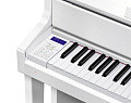 Casio Celviano GP-310WE цифровое фортепиано