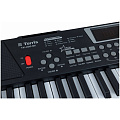 TERRIS TK-200 BK Синтезатор
