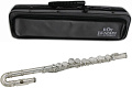 ROY BENSON FL-102 флейта (детская, упрощенная механика)