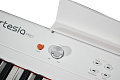 Artesia Performer White Цифровое фортепиано. 88 клавиш, цвет белый