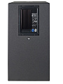 DAS AUDIO ACTION-S218A Активный сабвуфер