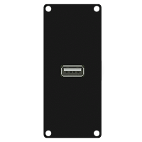Caymon CASY162/B Модуль CASY оснащен гнездовым разъемом USB 2.0 A на передней стороне и 4-контактным разъемом клеммной колодки на задней панели