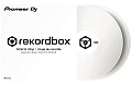 PIONEER RB-VD1-W Тайм-код пластинки для rekordbox DVS, белые (пара)