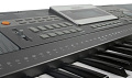 MEDELI A100 Cинтезатор, 61 активная клавиша, полифония 128 нот, запись, обучение, арпеджиатор, USB
