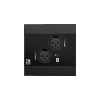 AUDAC NWP220/B Настенная сетевая панель удаленного подключения, цвет черный