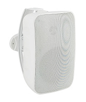 SVS Audiotechnik PAF-60NW PRO трансляционная акустическая система 