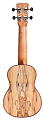 CORDOBA 24S Spruce укулеле сопрано, топ ель, корпус шпаленый клен