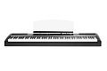 Ringway RP-60 BLK Цифровое пианино, цвет черный