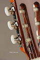 PEREZ 620 Cedar классическая гитара - верх-Solid кедр, корпус-махагон