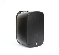 AuraSonics DENSE-6T настенная акустическая система, цвет черный