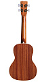 CORDOBA 15 CM-E Edge Burst укулеле концертная, корпус махагони, пьезозвукосниматель, обработка матовая, цвет санбёрст