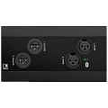 AUDAC NWP222/B Настенная сетевая панель удаленного подключения, цвет черный