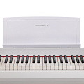 ROCKDALE NOCTURNE S 256 W цифровое пианино 