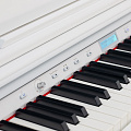 ROCKDALE ETUDE 256 W цифровое пианино, цвет белый