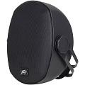 PEAVEY Impulse 8c Black  Акустическая система,1x8"