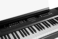 Ringway RP-60 BLK Цифровое пианино, цвет черный