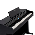 ROCKDALE ETUDE 256 BK цифровое пианино, цвет черный