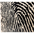 SCHLAGWERK CP118  Кахон серии X-One, принт Fingerprint, цвет натуральный, размер 45 см