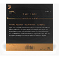 D'ADDARIO KA310 4/4M, Kaplan Amo, 4/4 medium набор струн для скрипки 4/4, среднее натяжение