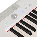 ROCKDALE NOCTURNE S 256 W цифровое пианино 
