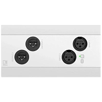 AUDAC NWP222/W Настенная сетевая панель удаленного подключения, цвет белый