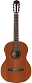 CORDOBA IBERIA CADETE классическая гитара, размер 3/4, топ канадский кедр, дека махагони, цвет натуральный, обработка глянец