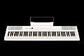 Artesia Performer White Цифровое фортепиано. 88 клавиш, цвет белый