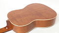 GEWA  PRO ARTE GC 242 II гитара классическая, верхняя дека массив кедра, глянцевый лак