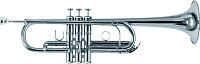 ROY BENSON TR-402CS Труба (цвет серебро)
