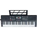 TERRIS TK-250 BK Синтезатор