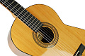 Admira Paloma  классическая гитара, орегонская сосна, обечайка и нижняя дека - сапелли