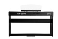 Ringway RP-60 BLK Цифровое пианино, цвет черный