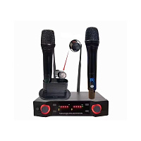 Tarboc EW-100 радиосистема с двумя ручными микрофонами 