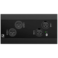 AUDAC NWP222/B Настенная сетевая панель удаленного подключения, цвет черный