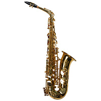 SUZUKI MCSA-1 саксофон альт Eb ученический, отделка золотой лак, с кейсом, мундштуком, ремнем, тростью и средствами ухода