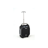 ANT iROLLER 8  мобильная активная акустическая система, 50 Вт, SD/USB, MP3 плеер, Bluetooth®