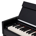 ROCKDALE VIRTUOSO 256 BK цифровое пианино, цвет черный