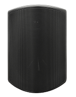 SVS Audiotechnik WSP-6B PRO Всепогодная трансляционная акустическая система, цвет черный